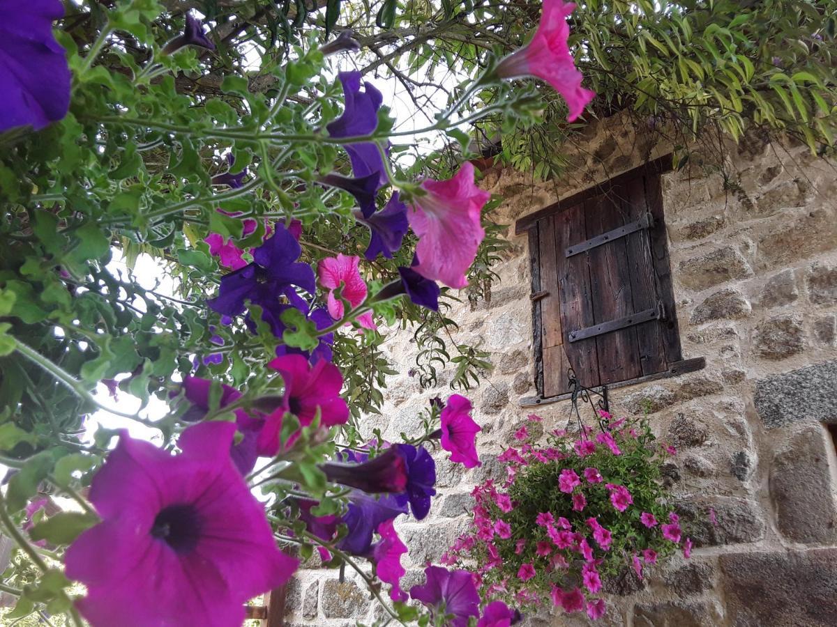 La Belle Ame Bed and Breakfast Saint-Priest-des-Champs Eksteriør billede
